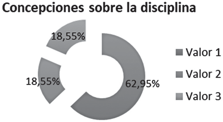 Concepciones sobre la propia disciplina