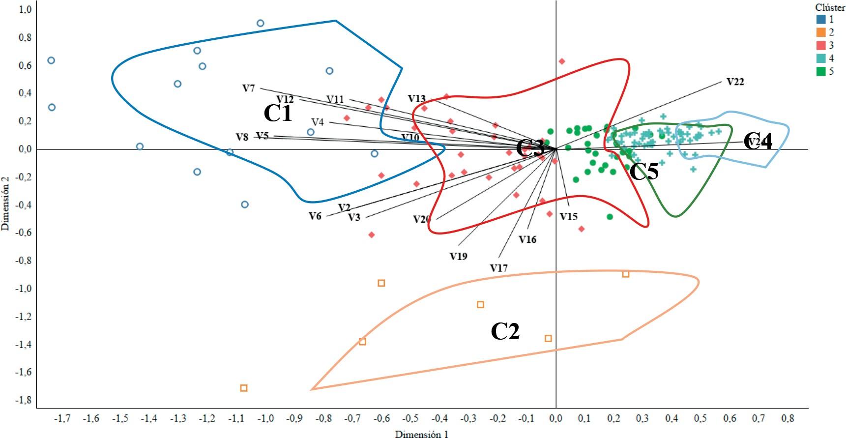 Grupo de IESp en el espacio multidimensional (MDS)