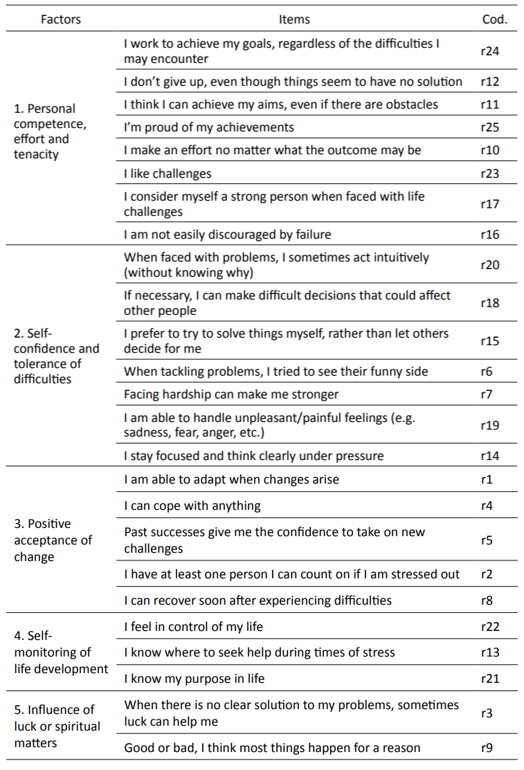 Resilience scale items and coding